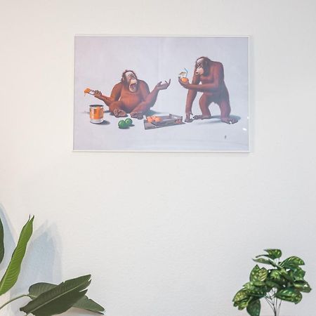 Apartmán Das Crazy Monkey Loft Mit 100Qm & Summerlounge Štutgart Exteriér fotografie